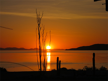 Baja Sunrise