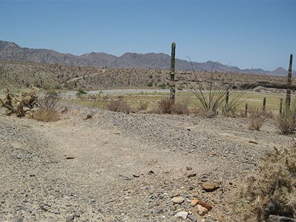 Calamajué Mineral Deposits