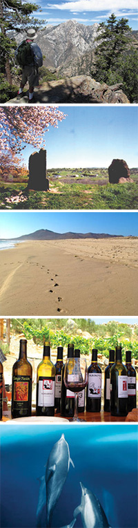 Baja Bound July Newsletter