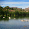 Walking the Baja