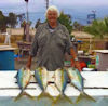 Baja Fishing Report - Summer 2017
